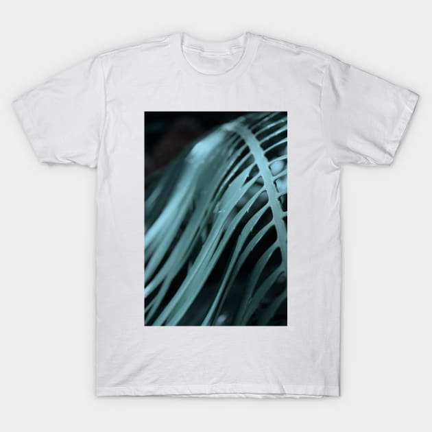 Palm Tree 01 T-Shirt by froileinjuno